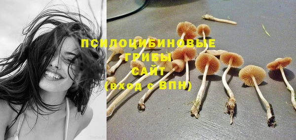 круглые Богданович